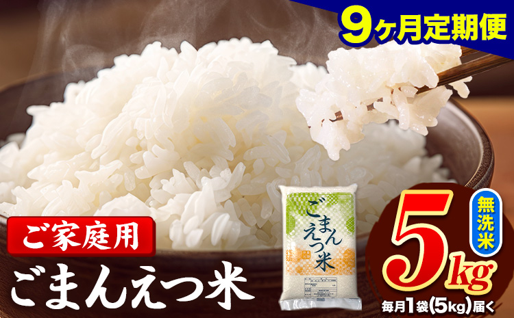 【9ヶ月定期便】 米 無洗米 ごまんえつ米 5kg 5kg×1袋 米 こめ 定期便 家庭用 備蓄 熊本県 長洲町 くまもと ブレンド米 熊本県産 訳あり 常温 配送 《お申込み翌月から出荷》