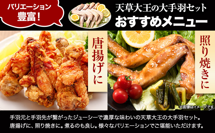 【幻の地鶏】天草大王大手羽セット ４本入り 約650g以上 大海水産株式会社《45日以内に出荷予定(土日祝除く)》熊本県 長洲町 地鶏 チキン 鶏肉 手羽先 手羽元 大手羽 照り焼き 冷凍 送料無料---sn_fadotb_45d_r8_12000_650g---