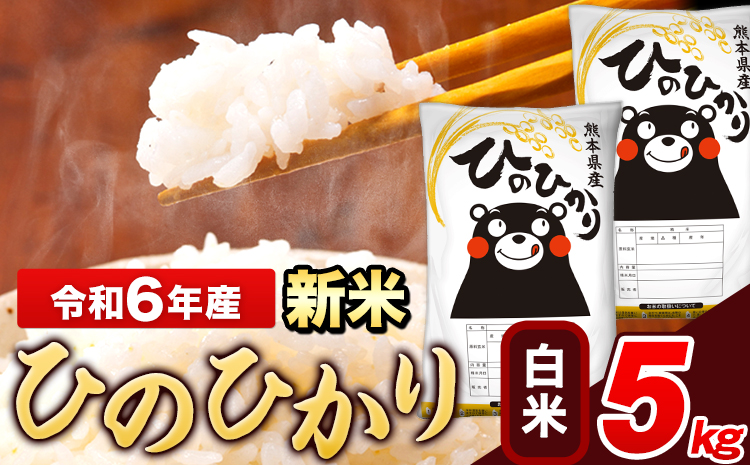 米 令和6年産 新米 ひのひかり 白米 5kg 《11月-12月より出荷予定》 5kg×1袋 熊本県産 米 精米 ひの 長洲町