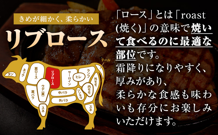くまもと黒毛和牛 リブロースステーキ 500g ( 250g x 2枚 ) 牛肉 冷凍《30日以内に出荷予定(土日祝除く)》くまもと黒毛和牛 黒毛和牛 冷凍庫 個別 取分け 小分け 個包装 ステーキ肉 にも リブロースステーキ