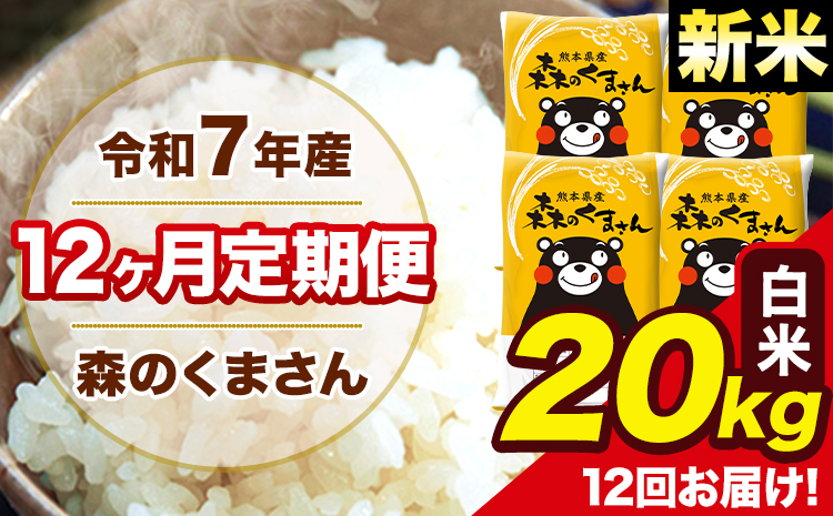 新米 米 令和7年産 森のくまさん 【12ヶ月定期便】白米 20kg 5kg×4袋 計12回お届け 《お申込み翌月から出荷》 お米 こめ 熊本県産 ご飯 備蓄