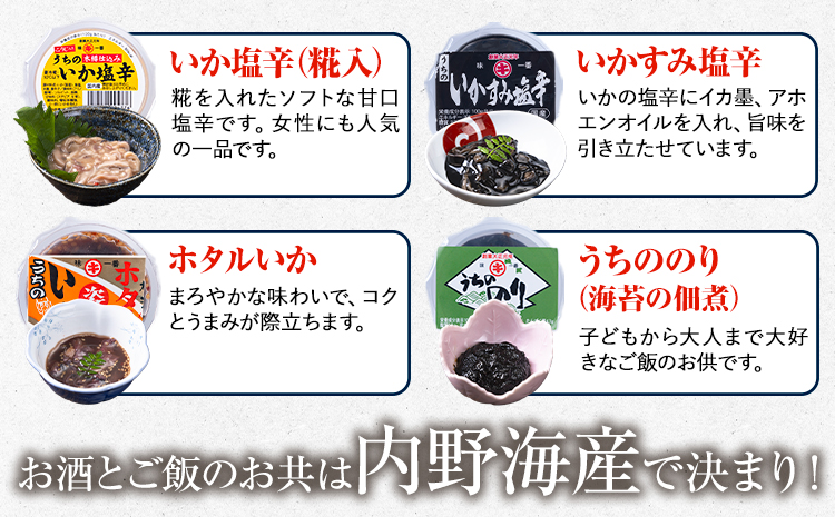 内野海産の海の幸セット 10個入り 《45日以内に出荷予定(土日祝除く)》あみ漬 いか 海苔 佃煮 塩辛 いかすみ