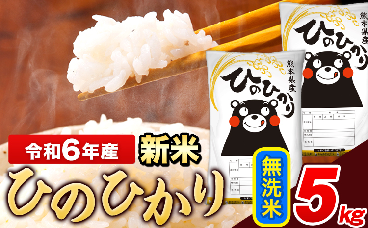 米 令和6年産 新米 ひのひかり 無洗米 5kg 《11月-12月より出荷予定》  5kg×1袋 熊本県産 米 精米 ひの 長洲町