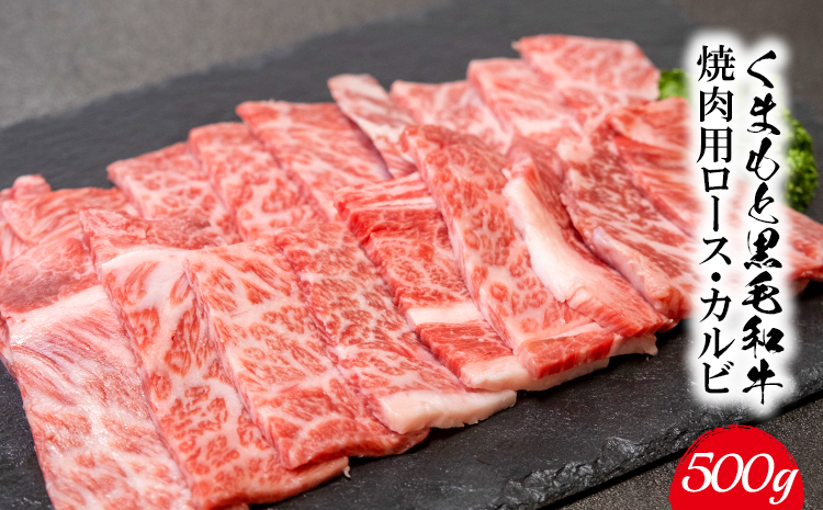 くまもと黒毛和牛 焼肉用ロース・カルビ 500g 《60日以内に出荷予定(土日祝除く)》 熊本県 長洲町 くまもと黒毛和牛 黒毛和牛 牛肉 肉 焼き肉 株式会社 羽根(出荷元：株式会社酒湊)