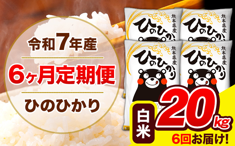 令和7年産 ひのひかり 【6ヶ月定期便】 白米  20kg (5kg×4袋) 計6回お届け 《お申込み翌月から出荷》 熊本県産 白米 精米 ひの 米 こめ お米 熊本県 長洲町