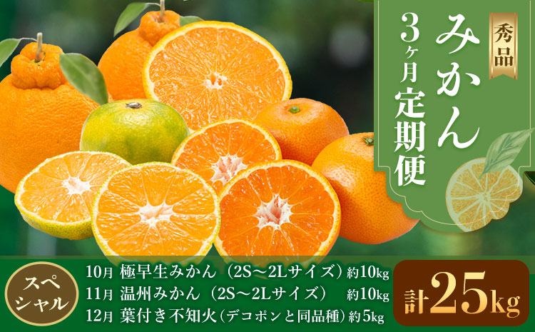 秀品 みかん 3ヶ月定期便 【スペシャル：計25kg】 日本フルーツ株式会社《2026年10月上旬-12月末頃出荷》熊本県 長洲町 極早生みかん 温州みかん 葉付き 不知火 果物 フルーツ スイーツ デザート ギフト ご贈答