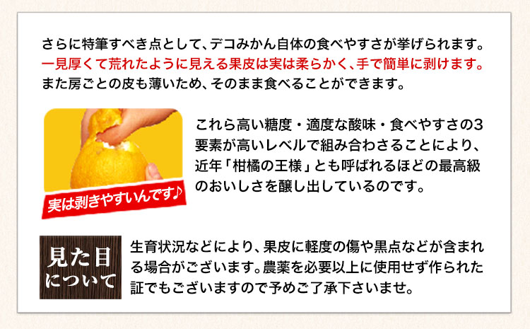 ご家庭用 デコみかん 約5kg 12〜24玉前後《2025年2月上旬-4月末頃出荷》デコポン（不知火）と同品種 熊本県産 熊本県 長洲町 訳あり