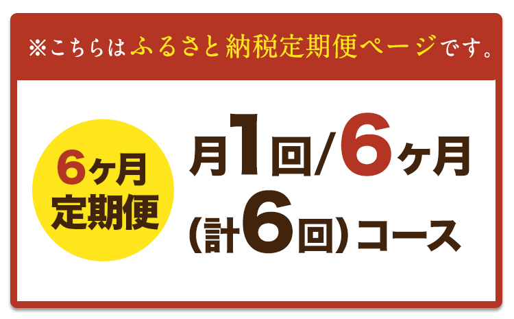 【6ヶ月定期便】 【希少和牛】ハンバーグ 熊本県産 あか牛ハンバーグ 150g × 10個 長洲501 《お申込み月の翌月から出荷開始》定期 計6回お届け 熊本県 長洲町 送料無料 牛肉 肉 あか牛 定期便