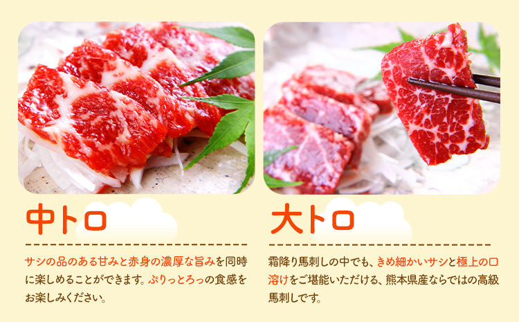 馬刺し 馬刺し 6種 食べ比べ 280g 株式会社利他フーズ《30日以内に出荷予定(土日祝除く)》 上赤身 中トロ 大トロ ふたえご ロース たてがみ 希少部位 国産 冷凍 生食用 肉 馬肉 ふるさと納税馬刺し 送料無料 馬刺 ばさし 名物