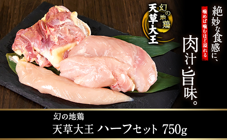 天草大王　ハーフセット 約750g 《60日以内に出荷予定(土日祝除く)》 【幻の地鶏】もも・むね・ささみ各1枚 熊本県産 長洲町