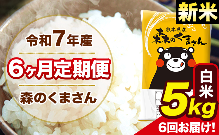 新米 米 令和7年産 森のくまさん【6ヶ月定期便】 白米 5kg 5kg×1袋 計6回お届け 《お申込み翌月から出荷》 お米 こめ 熊本県産 ご飯 備蓄