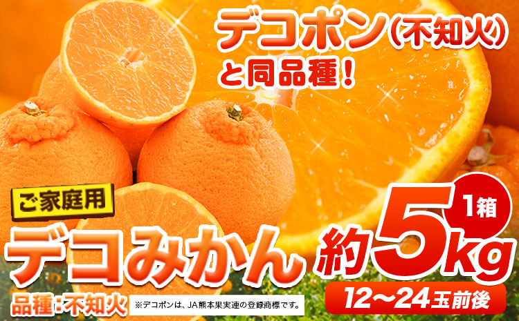 ご家庭用 デコみかん 約5kg 12〜24玉前後《2025年2月上旬-4月末頃出荷》デコポン（不知火）と同品種 熊本県産 熊本県 長洲町 訳あり