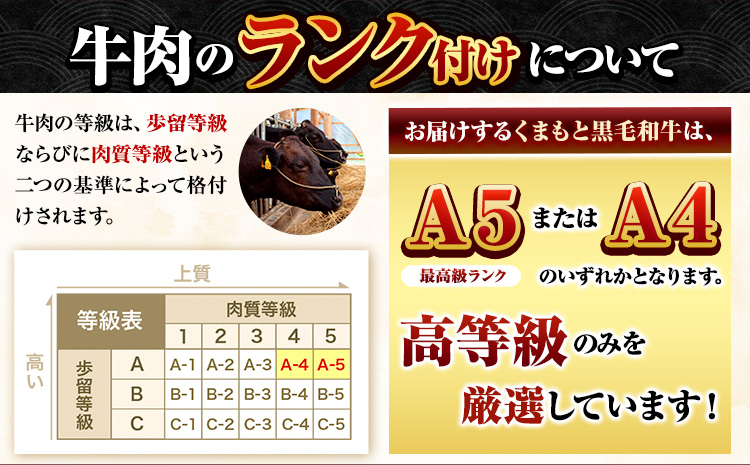 牛肉 くまもと黒毛和牛 サーロイン リブロース 内モモ 希少部位 500g 牛肉 焼肉用 冷凍 《30日以内に出荷予定(土日祝除く)》 くまもと黒毛和牛 黒毛和牛 焼肉 肉 お肉 熊本県 長洲町