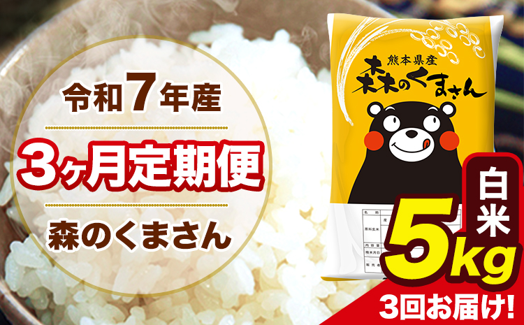 米 令和7年産 森のくまさん 【3ヶ月定期便】白米 5kg 5kg×1袋 計3回お届け 《お申込み翌月から出荷》 お米 こめ 熊本県産 ご飯 備