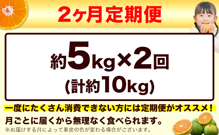 【2ヶ月定期便】訳あり みかん 小玉みかん くまもと小玉みかん 5kg (2.5kg×2箱)  秋 旬 不揃い 傷 ご家庭用 SDGs 小玉 たっぷり 熊本県 産 S-3Sサイズ フルーツ 旬 柑橘 長洲町 温州みかん《10月・11月出荷》