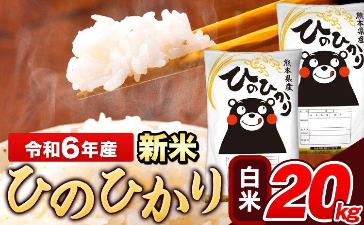 米 令和6年産 新米 ひのひかり 白米 20kg 《11月-12月より出荷予定》 5kg×4袋 熊本県産 米 精米 ひの 長洲町