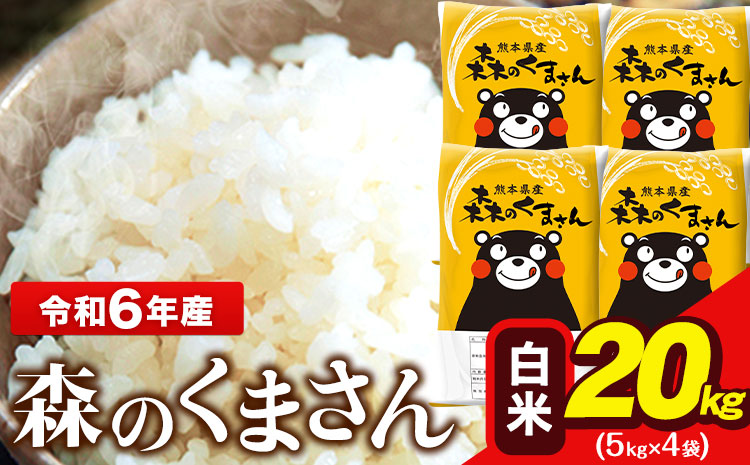 令和6年産 森のくまさん 20kg 5kg × 4袋  白米 熊本県産 単一原料米 森くま《1-5日以内に出荷予定(土日祝除く)》送料無料