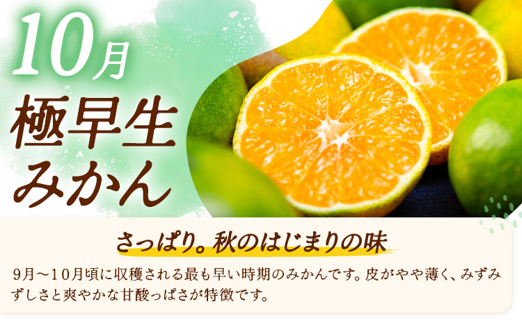 【3ヶ月定期便】みかん 定期便 秀品 温州みかん リッチ 計15kg 日本フルーツ株式会社《10月上旬-12月末頃出荷》熊本県 長洲町 ミカン 蜜柑 柑橘類 極早生 早生 中生 果物 フルーツ
