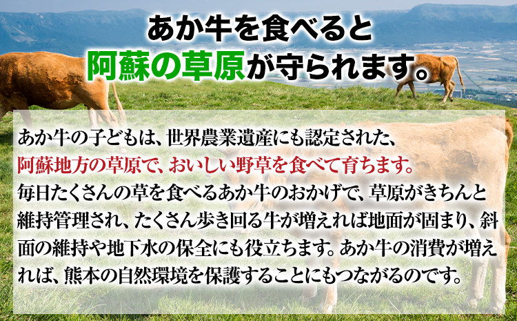 【希少和牛】ハンバーグ 熊本県産 あか牛ハンバーグ 150g × 10個 長洲501 牛肉 あか牛 長洲町 《90日以内に出荷予定(土日祝除く)》