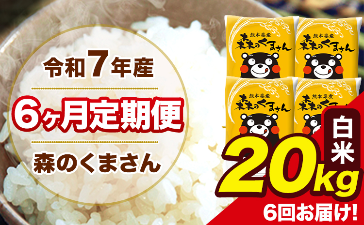 令和7年産 森のくまさん【6ヶ月定期便】白米 20kg 5kg×4袋 計6回お届け 《お申込み翌月から出荷》 お米 こめ 熊本県産 ご飯 備蓄
