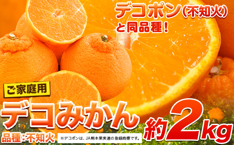 ご家庭用 デコみかん 約2kg 前後 (約4-10玉前後)《2027年2月上旬-4月上旬頃出荷》デコポン（不知火）と同品種 熊本県産 熊本県 長洲町 訳あり