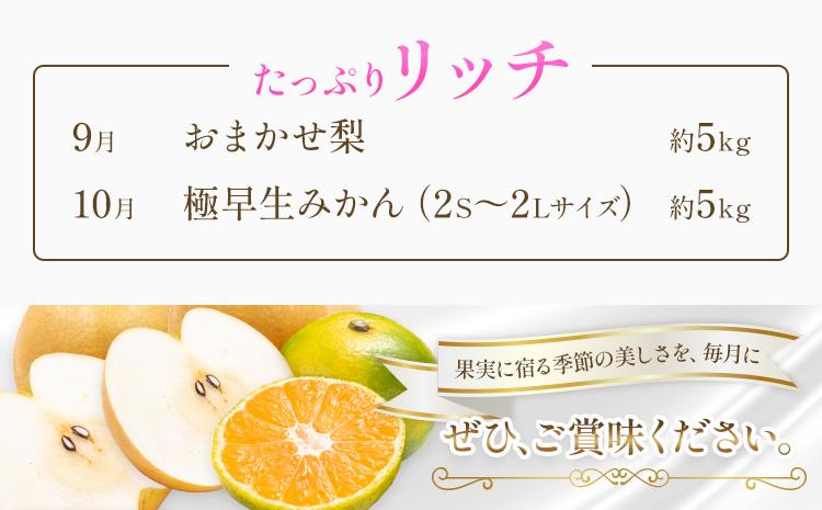 旬のフルーツ定期便 リッチ 2ヶ月連続 秀品 計10kg 日本フルーツ株式会社《2026年9月上旬-10月末頃出荷》定期便 熊本県 長洲町 おまかせ 梨 極早生みかん 果物 フルーツ スイーツ デザート ギフト ご贈答