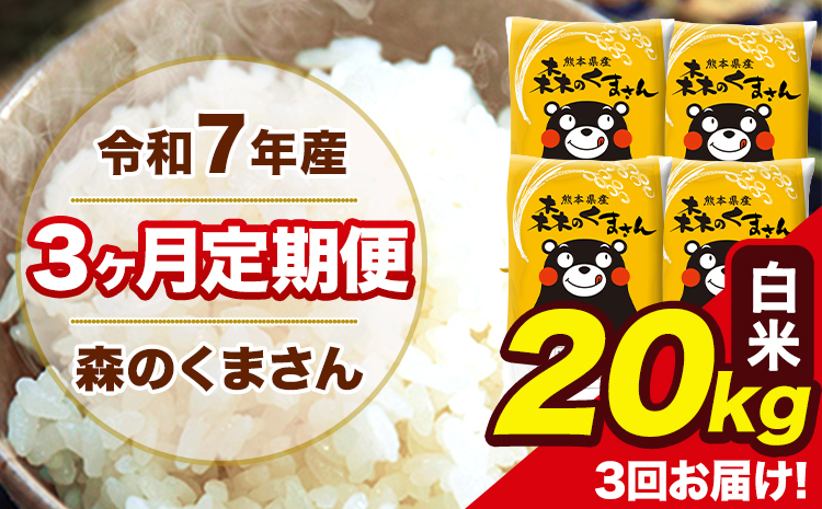 令和7年産 森のくまさん【3ヶ月定期便】 白米 20kg 5kg×4袋 計3回お届け 《お申込み翌月から出荷》 お米 こめ 熊本県産 ご飯 備蓄