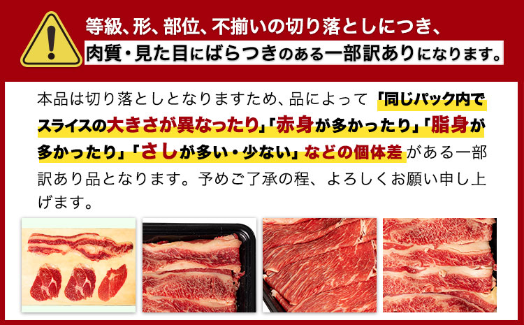 訳あり あか牛（褐毛和牛）切り落とし福袋 1.2kg 熊本県産 肉 和牛 牛肉 冷凍 規格外 不揃い《1-5営業日以内に出荷予定(土日祝除く)》送料無料