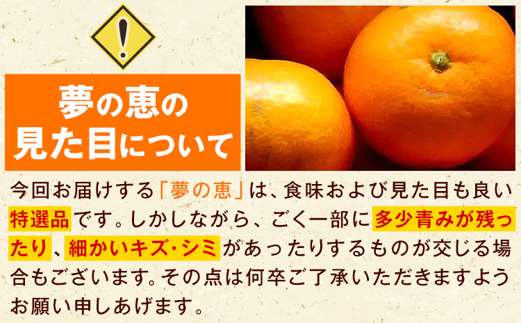 夢の恵 みかん 約2.5kg(20玉〜30玉前後) 熊本県産 （長洲町産含む） 糖度12度以上 ブランドみかん ブランド 贈答用 贈り物《1月中旬-2月中旬頃より出荷予定》 熊本県 長洲町