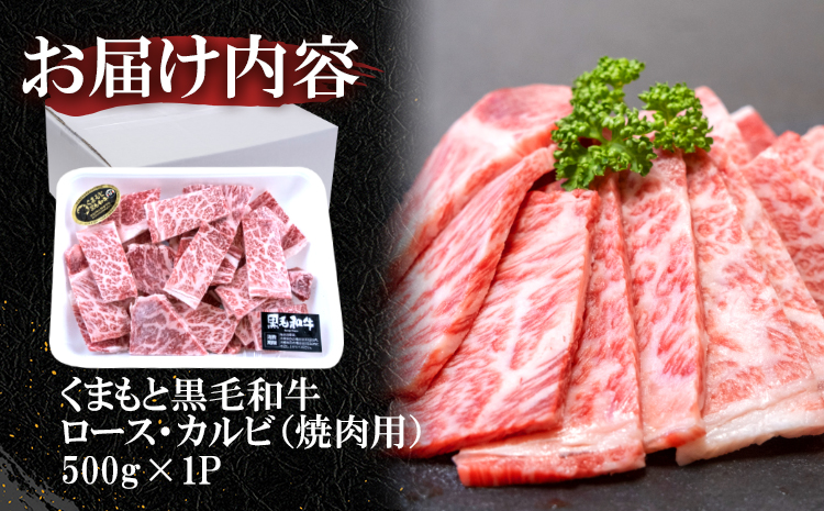 くまもと黒毛和牛 焼肉用ロース・カルビ 500g 《60日以内に出荷予定(土日祝除く)》 熊本県 長洲町 くまもと黒毛和牛 黒毛和牛 牛肉 肉 焼き肉 株式会社 羽根(出荷元：株式会社酒湊)