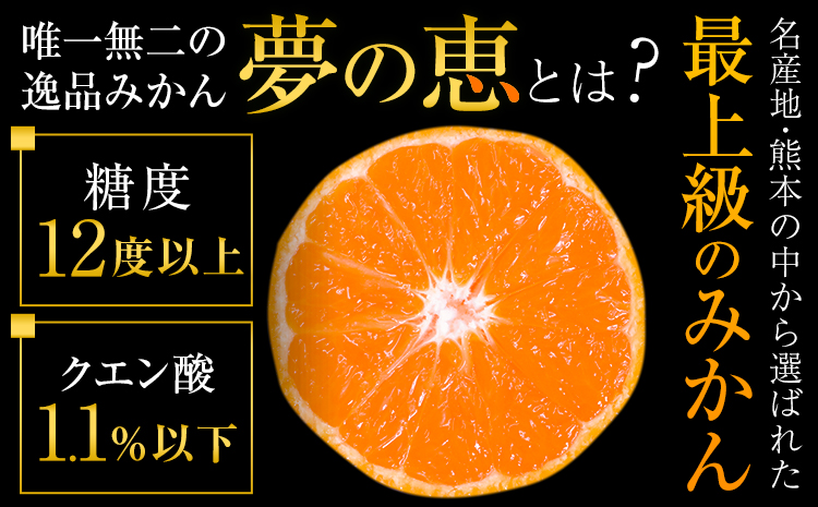 夢の恵 みかん 約2.5kg(20玉〜30玉前後) 熊本県産 （長洲町産含む） 糖度12度以上 ブランドみかん ブランド 贈答用 贈り物《1月中旬-2月中旬頃より出荷予定》 熊本県 長洲町