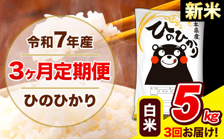 新米 令和7年産 新米 ひのひかり [3ヶ月定期便] 白米 5kg (5kg×1袋) 計3回お届け [1月から出荷開始] 熊本県産 白米 精米 ひの 米 こめ お米 熊本県 長洲町