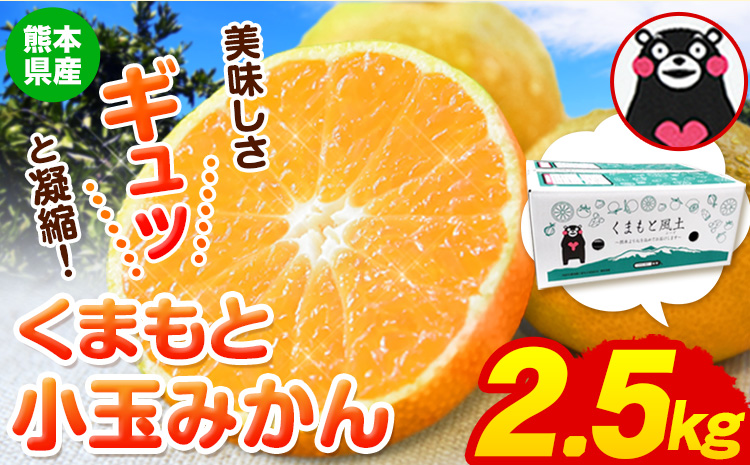 訳あり みかん 小玉みかん くまもと小玉みかん 2.5kg (2.5kg×1箱) 秋 旬 不揃い 傷 ご家庭用 SDGs 小玉 たっぷり 熊本県 産 S-3Sサイズ フルーツ 旬 柑橘 長洲町 温州みかん《11月中旬-12月上旬頃出荷》