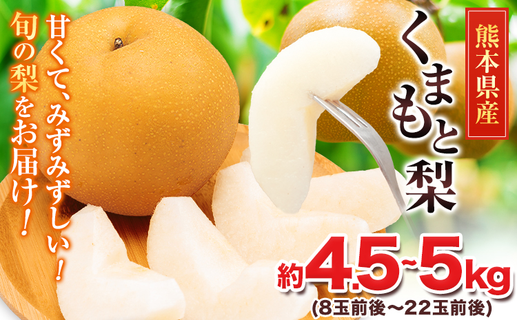 ＜2026年先行予約＞ 梨 くまもと梨 秋 旬 なし 幸水 豊水 先行 果物 くだもの フルーツ 送料無料 あきづき 甘太 新高 新興 約4.5～5kg(8玉～22玉前後) 熊本県産【着日指定不可】《8月下旬-11月中旬頃出荷》旬 果物 お取り寄せ ナシ