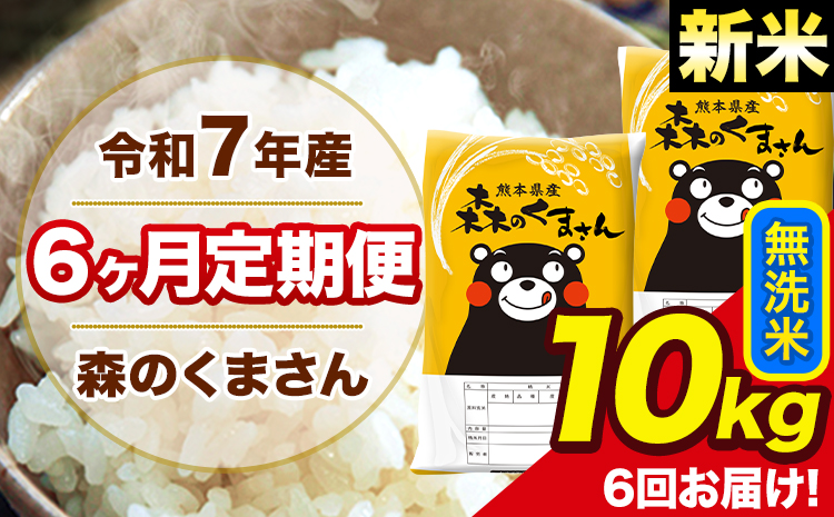 新米 米 令和7年産 森のくまさん【6ヶ月定期便】 無洗米 10kg 5kg×2袋 計6回お届け 《お申込み翌月から出荷》 お米 こめ 熊本県産 ご飯 備蓄