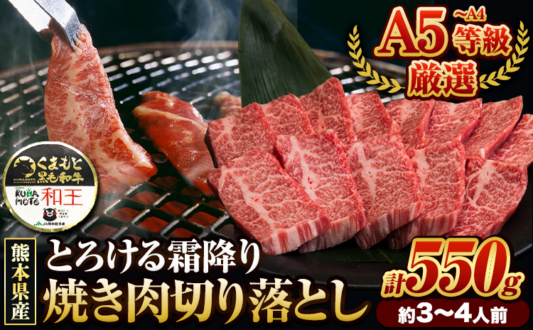 くまもと黒毛和牛 和王 バラ 霜降り 焼肉切り落とし 550g A5 A4 等級《60日以内に出荷予定(土日祝除く)》熊本県 長洲町 黒毛和牛 牛肉 冷凍 個別 取分け 小分け チャック付き バラ凍結 肉 お肉 焼き肉 焼き肉用