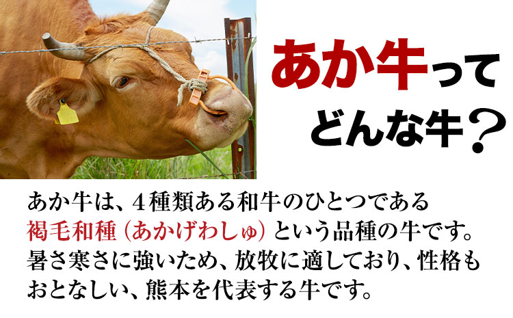 チーズインハンバーグ 約1.2kg 150g×8個 長洲501《30日以内に出荷予定(土日祝除く)》あか牛 熊本県 長洲町