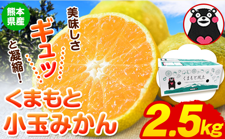 訳あり みかん 小玉みかん くまもと小玉みかん 2.5kg (2.5kg×1箱) 秋 旬 不揃い 傷 ご家庭用 SDGs 小玉 たっぷり 熊本県 産 S-3Sサイズ フルーツ 旬 柑橘 長洲町 温州みかん《10月下旬-11月中旬頃出荷》