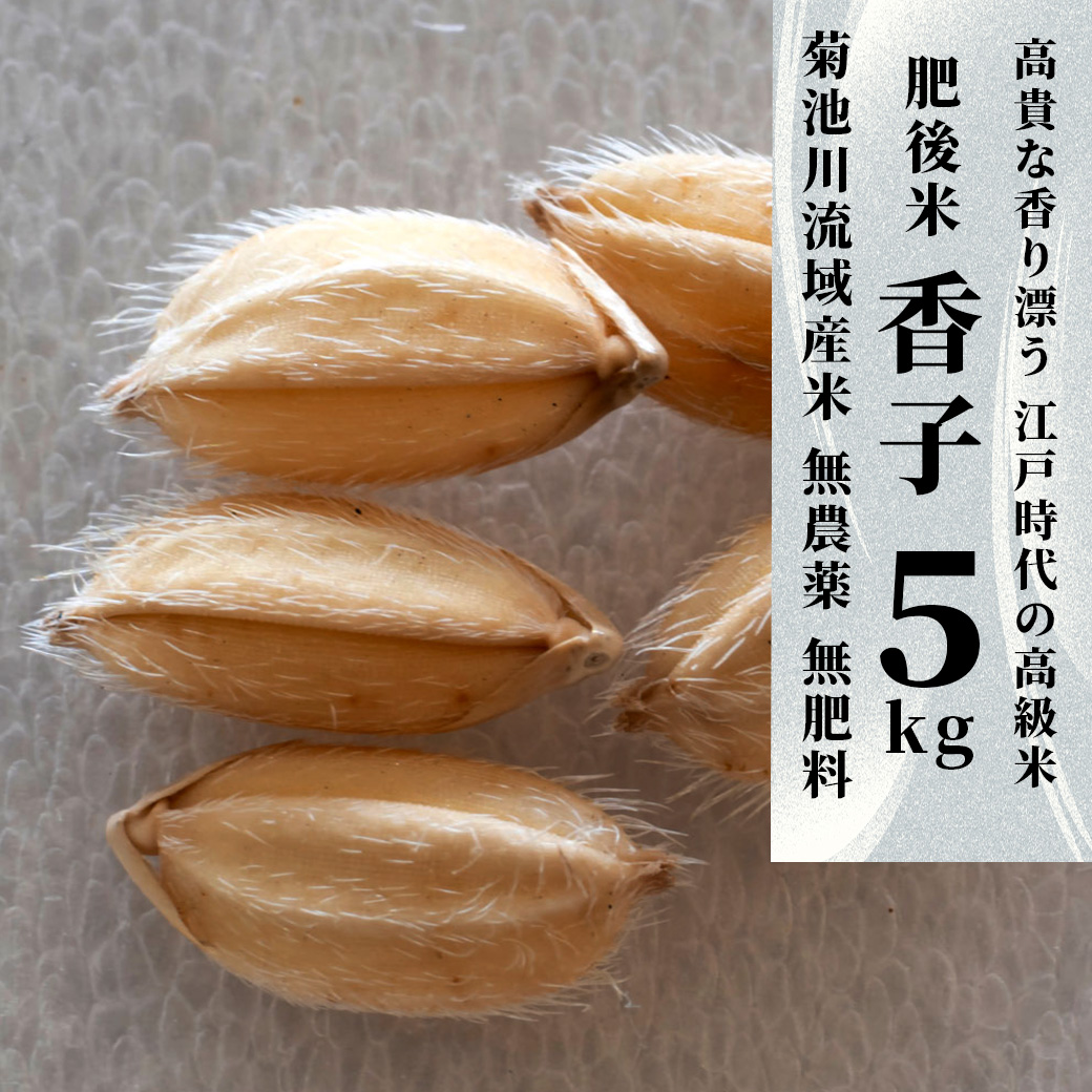 香子 5kg | 熊本県 和水町 くまもと なごみまち なごみ 米 お酒 酒 あか酒 地酒 花の香酒造