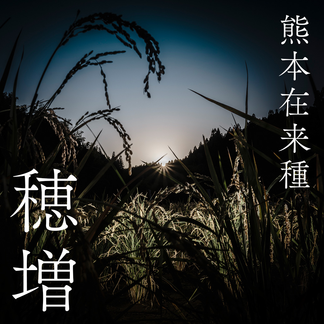 穂増 5kg | 熊本県 和水町 くまもと なごみまち なごみ 米 お酒 酒 あか酒 地酒 花の香酒造