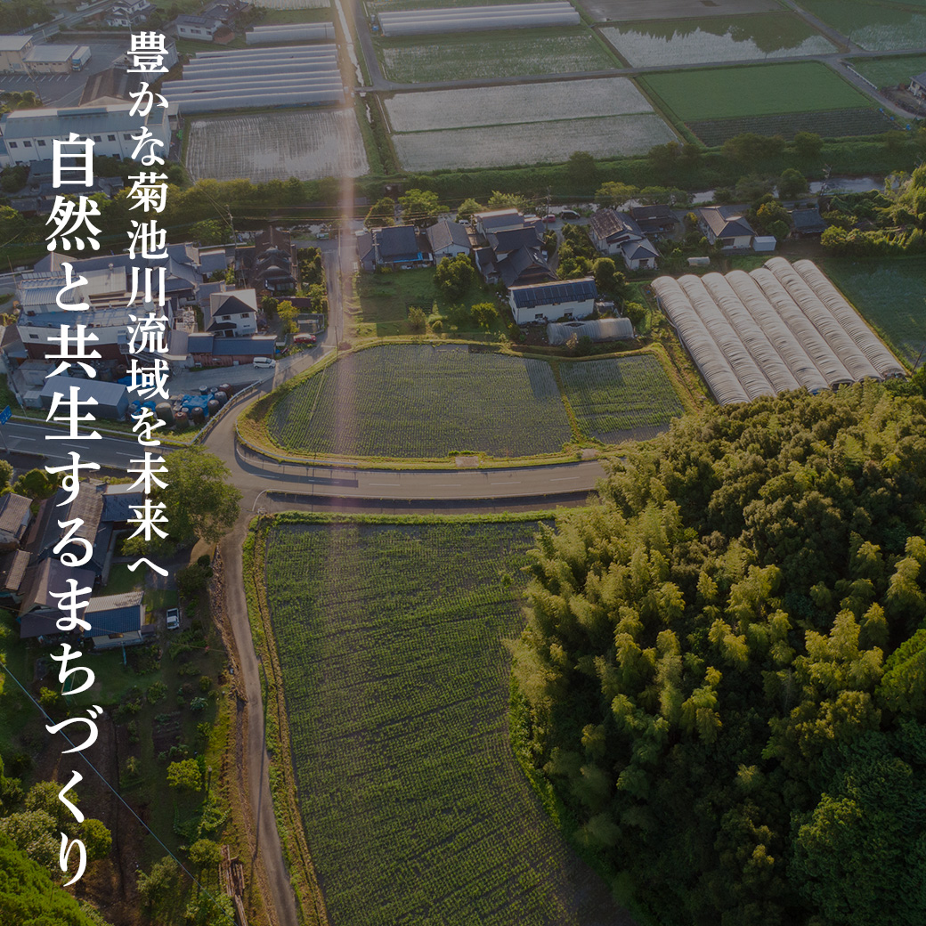 穂増 5kg | 熊本県 和水町 くまもと なごみまち なごみ 米 お酒 酒 あか酒 地酒 花の香酒造