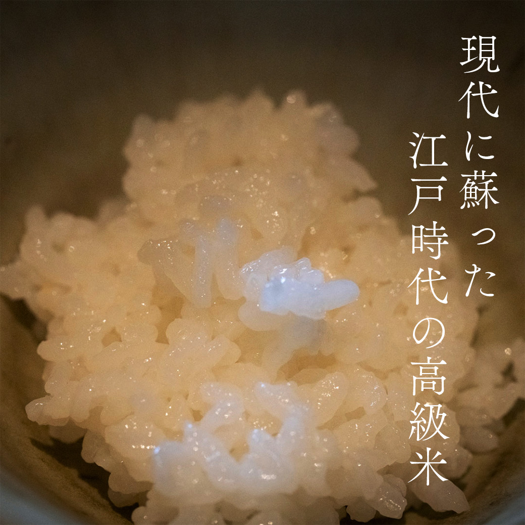 香子 5kg | 熊本県 和水町 くまもと なごみまち なごみ 米 お酒 酒 あか酒 地酒 花の香酒造