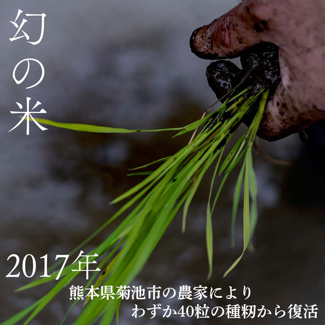 穂増 5kg | 熊本県 和水町 くまもと なごみまち なごみ 米 お酒 酒 あか酒 地酒 花の香酒造