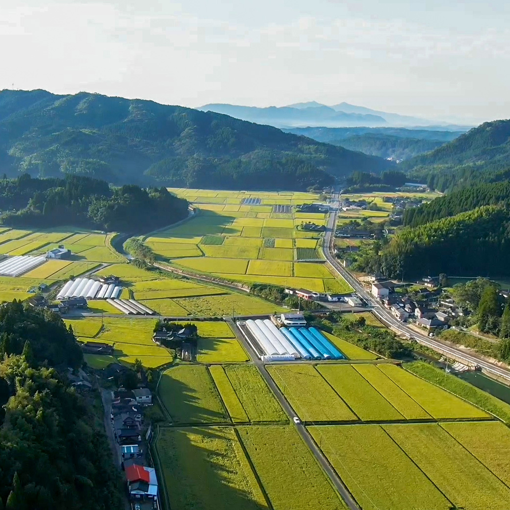 赤酒 720ml | 熊本県 和水町 くまもと なごみまち なごみ 米 お酒 酒 あか酒 地酒 花の香酒造