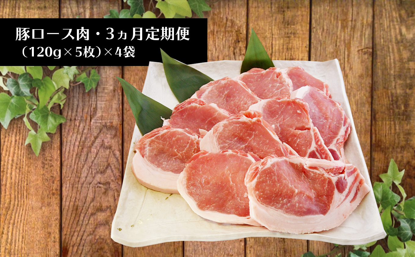 【定期便3回】火の本豚 豚ロース（2400ｇ） | 熊本県 熊本 くまもと 和水町 なごみ 豚肉 肉 豚ロース スライス 120g 5枚 4パック 小分け 地域ブランド 定期便 定期 3回