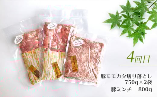 縲仙ョ壽悄4蝗樒匱騾√ 轣ォ縺ョ譛ャ雎 荳鬆ュ縺セ繧九#縺ィ萓ソ 蜷郁ィ7700g 雎夊i 辭頑悽 繧ー繝ゥ繝ウ繝励Μ蜿苓ウ | 辭頑悽逵 辭頑悽 縺上∪繧ゅ→ 蜥梧ーエ逕コ 縺ェ縺斐∩ 雎夊i 轣ォ縺ョ譛ャ雎 蝨ー蝓溘ヶ繝ゥ繝ウ繝 閧ゥ繝ュ繝シ繧ケ 繝ュ繝シ繧ケ 繧ケ繝ゥ繧、繧ケ 雎壹ヰ繝ゥ 繝舌Λ 繝溘Φ繝 雎壹Α繝ウ繝 蛻繧願誠縺ィ縺 螳壽悄萓ソ 4蝗