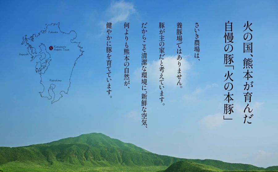 火の本豚 ロース１頭分 ( 真空パック 1本×2 )  合計 8.5kg以上 | 熊本県 和水町 くまもと なごみまち 豚肉 肉 ロース 豚ロース 8500g 冷凍 業務用 大容量