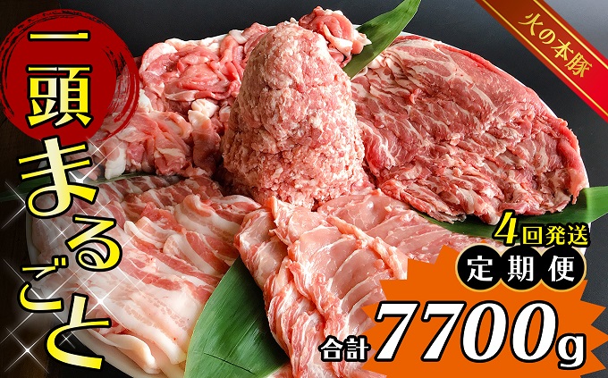 【定期4回発送】 火の本豚 一頭まるごと便 合計7700g 豚肉 熊本 グランプリ受賞 | 熊本県 熊本 くまもと 和水町 なごみ 豚肉 火の本豚 地域ブランド 肩ロース ロース スライス 豚バラ バラ ミンチ 豚ミンチ 切り落とし 定期便 4回