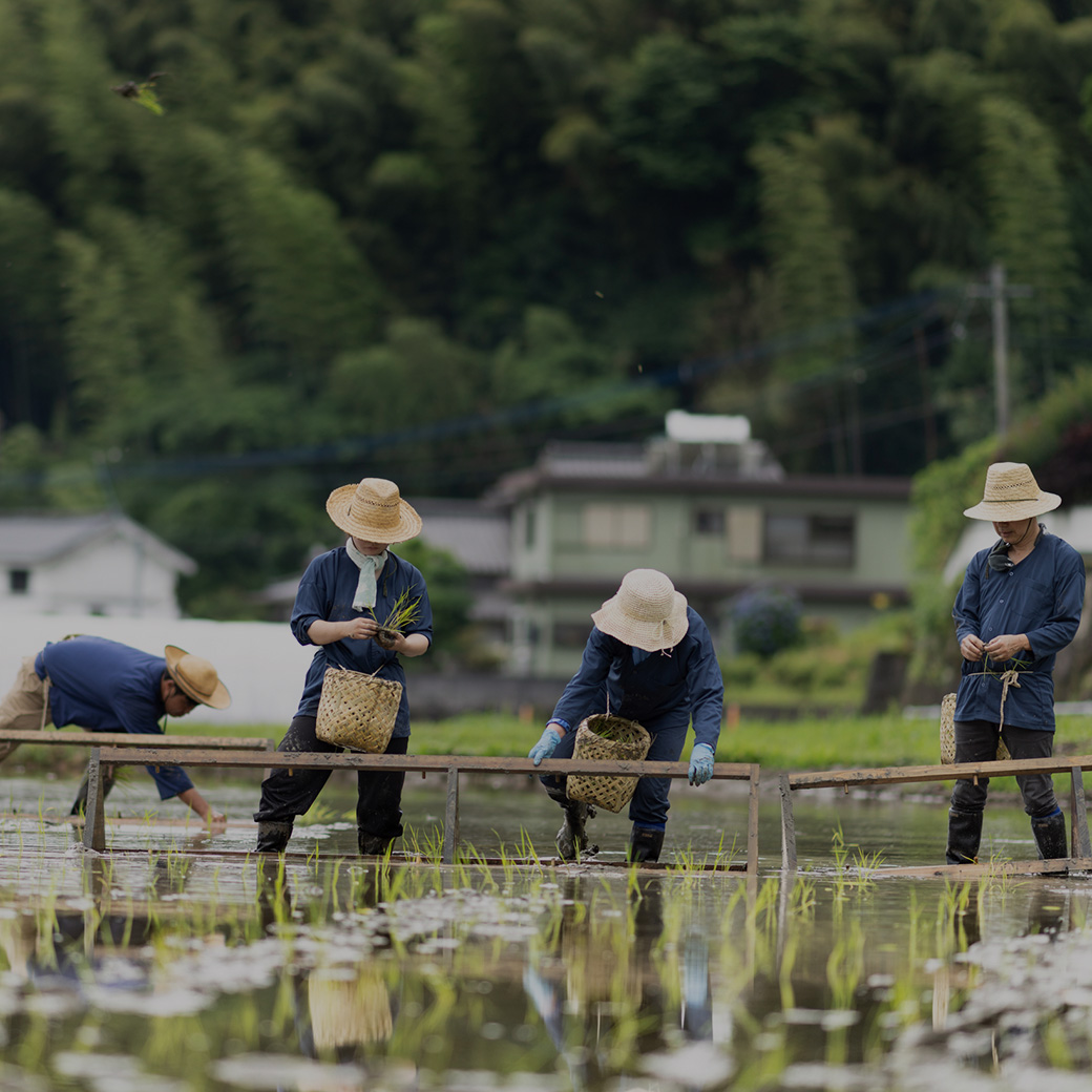 穂増 5kg | 熊本県 和水町 くまもと なごみまち なごみ 米 お酒 酒 あか酒 地酒 花の香酒造