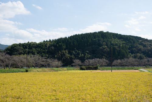 自然と共生するまちづくり